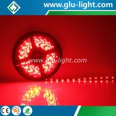 2017 3 1 DC24V 020 sānu izstarojošā RGB krāsu LED sloksne 60 LED/m
